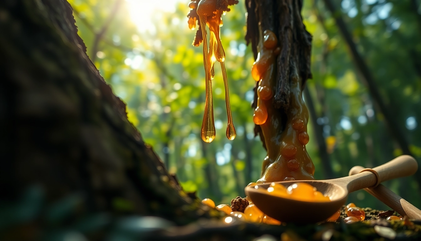 The Rich History and Healing Benefits of Myrrh in Traditional Medicine