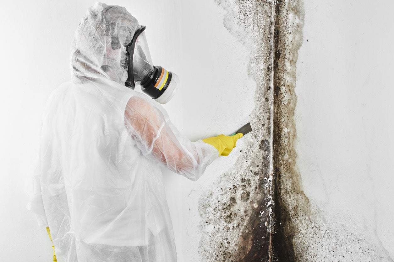 Trusted Mold Removal Dubai for Sensitive Cases